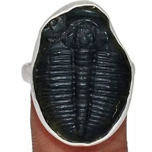 GENUINE UNIQUE FOSSIL TRILOBITE RING!! Rare!! .925